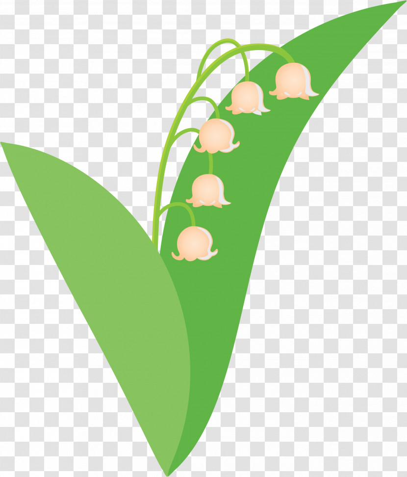 Lily Bell Flower Transparent PNG