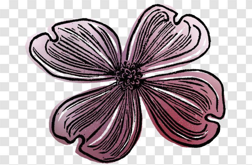 Petal Dragonfly Pattern - Insect - Layered Flower Transparent PNG