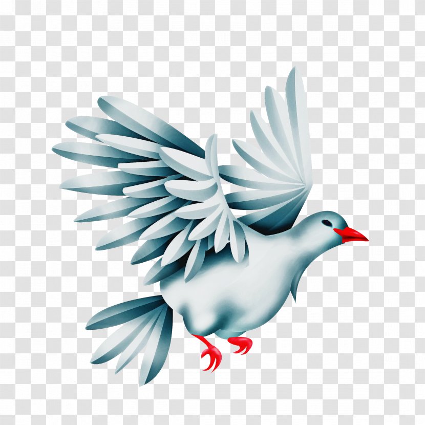 Dove Logo - Pigeons And Doves - Feather Songbird Transparent PNG