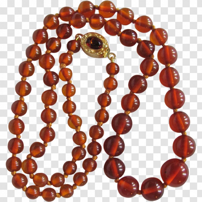 Necklace Baltic Amber Bead Jewellery Transparent PNG
