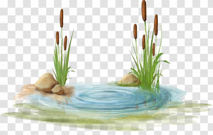 Swamp Clip Art - Water - Watermark Blue Stone Transparent PNG