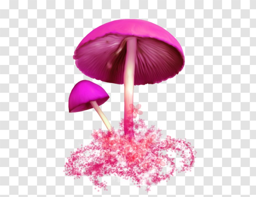 Mushroom Fungus Clip Art - Magenta Transparent PNG