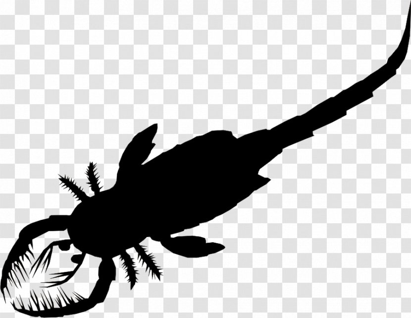 Eurypterid Scorpion Xiphosura Silurian Tachypleus Tridentatus - Membrane Winged Insect - Silhoutte Transparent PNG