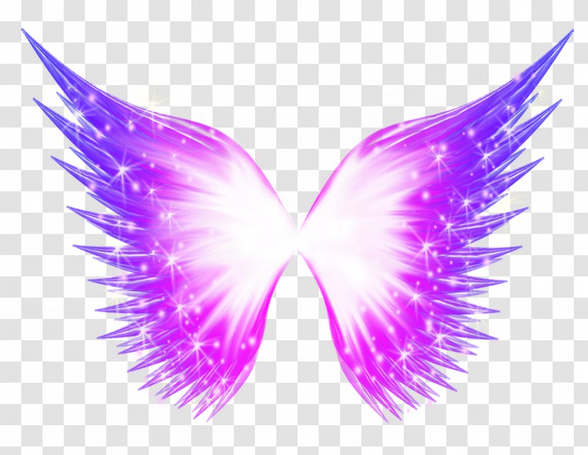 Butterfly Wing - Creative Wings Transparent PNG