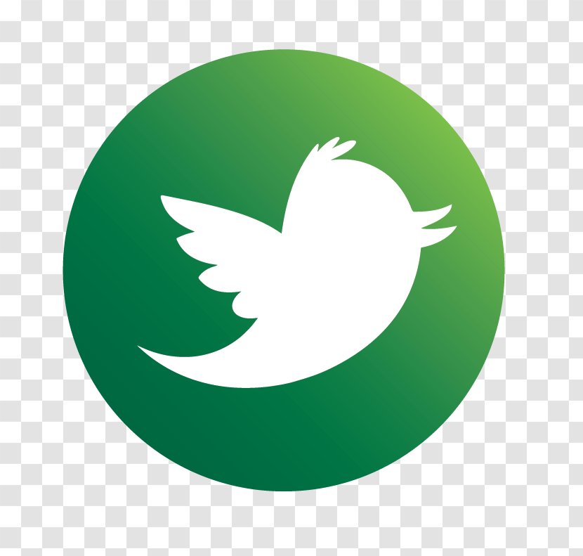 Hashtag Promotion Advertising Twitter Social Networking Service - Instagram - Bords Transparent PNG