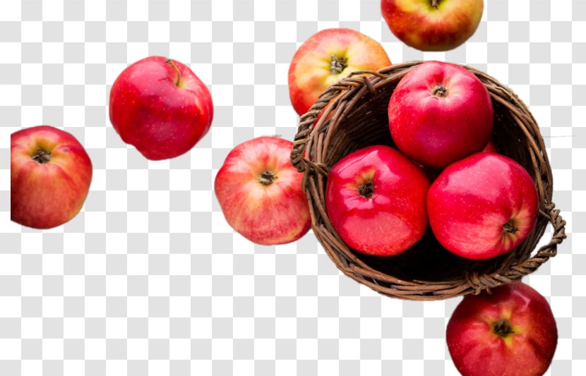 Apple Keyboard Mouse Food - Cranberry - Local Transparent PNG