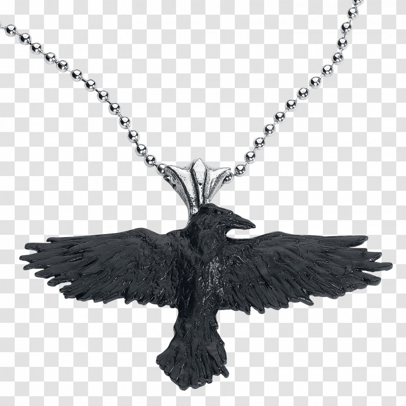 Charms & Pendants Earring Necklace Jewellery Alchemy Gothic Black Raven Pendant - Bird Transparent PNG