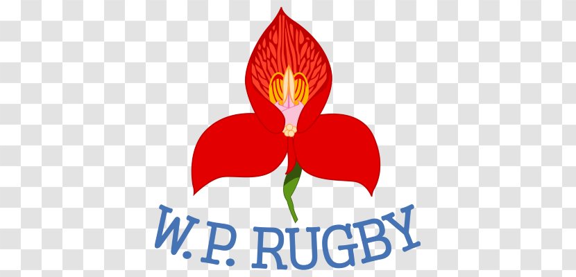Western Province Currie Cup Vodacom Stormers Free State Cheetahs - National Primary School Transparent PNG
