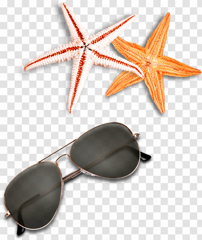 Sunglasses Beach - Glasses - Starfish Elements Transparent PNG