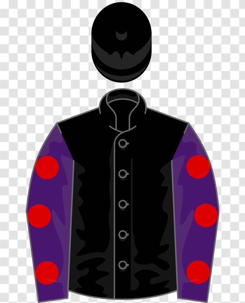 Newmarket, Suffolk 2017 Melbourne Cup Horse Racing Cartoon - Outerwear - Mr Right Transparent PNG