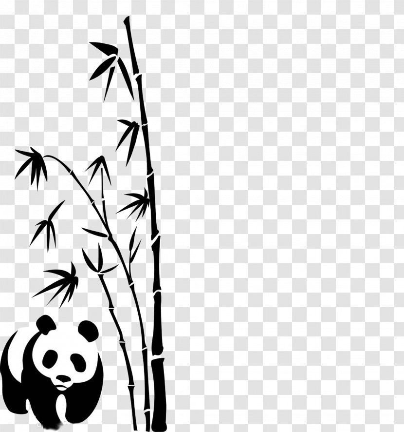 Giant Panda Bamboo Euclidean Vector - White - And Transparent PNG