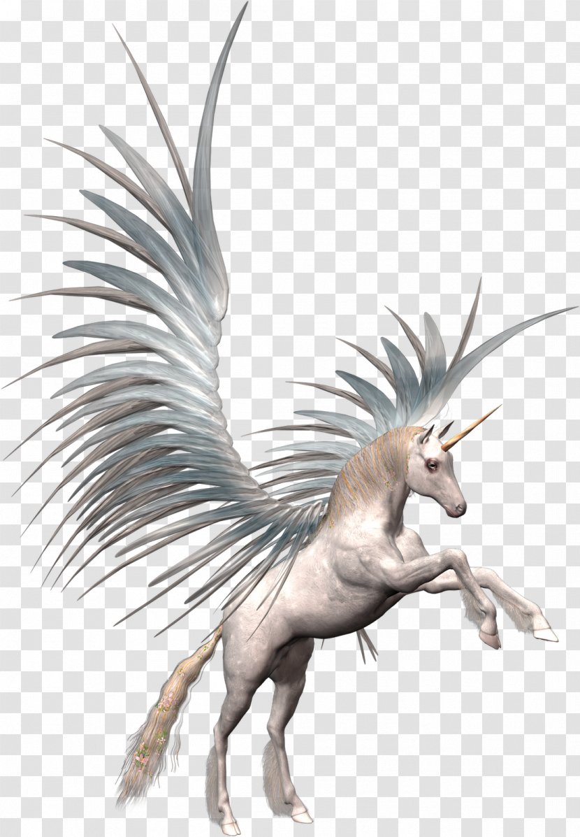 Unicorn Pegasus Clip Art - Tail - Unicornio Transparent PNG