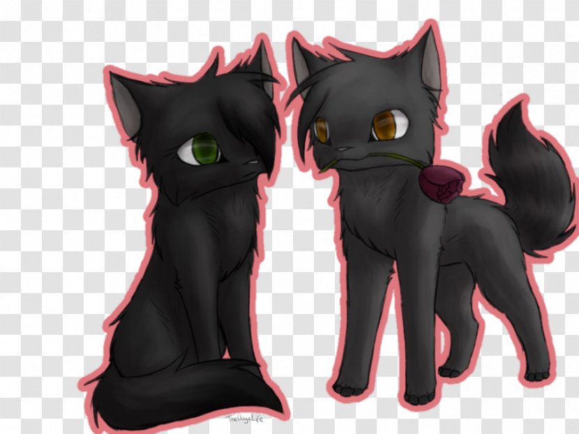 Kitten Cat The Fourth Apprentice Hollyleaf Warriors - Mammal - Caramel Balayage Transparent PNG