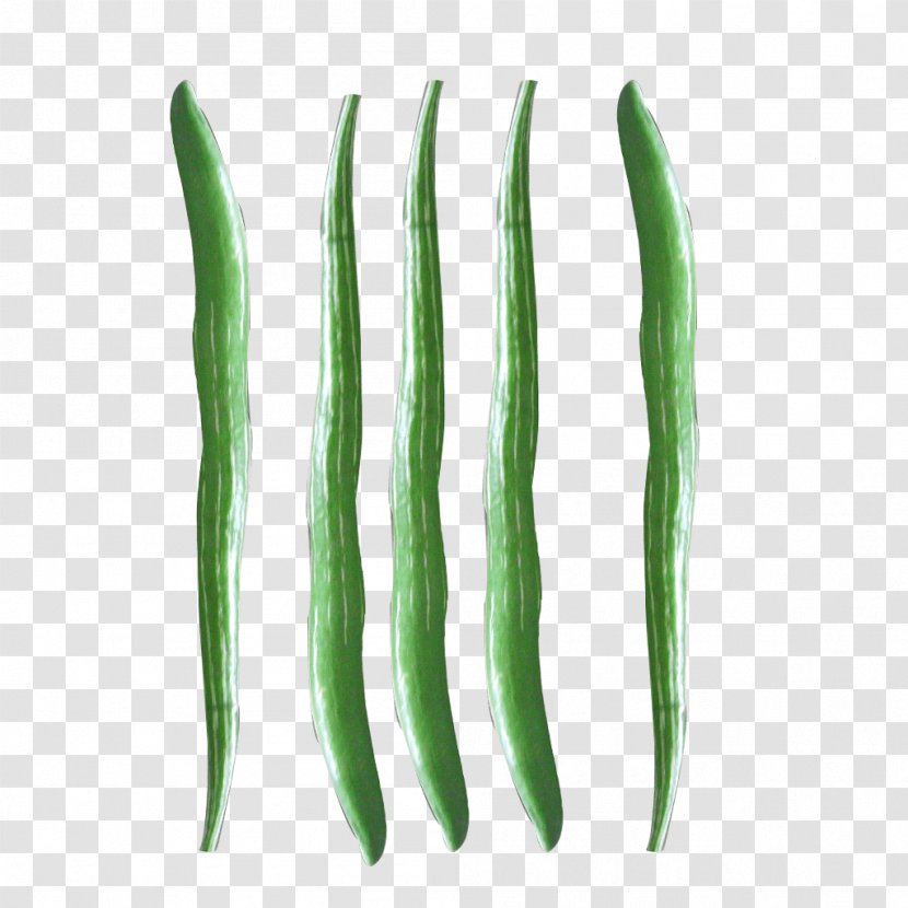 Serrano Pepper Pasilla Cayenne Plant Stem Sweet And Chili Peppers - Vegetable - Home Remedies For Boils Transparent PNG