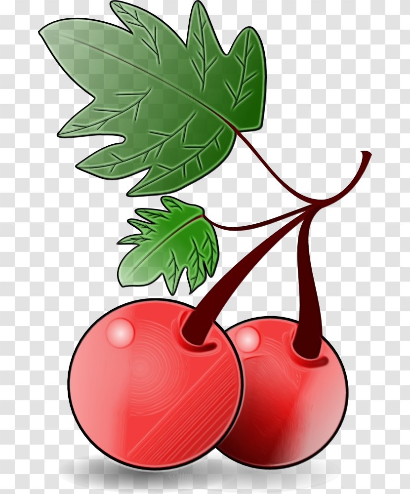 Leaf Clip Art Plant Tree Fruit - Cherry Radish Transparent PNG