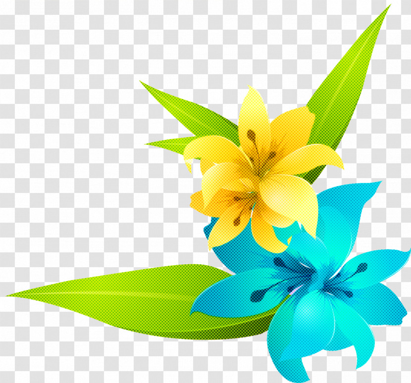 Lily Flower Transparent PNG