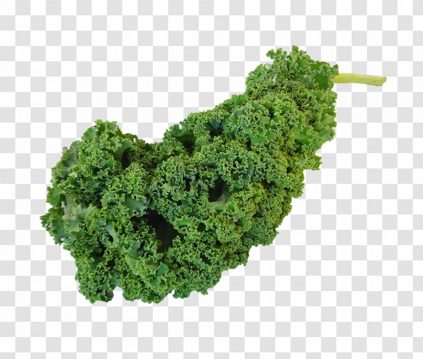 Vegetarian Cuisine Curly Kale Leaf Vegetable - Spinach Transparent PNG