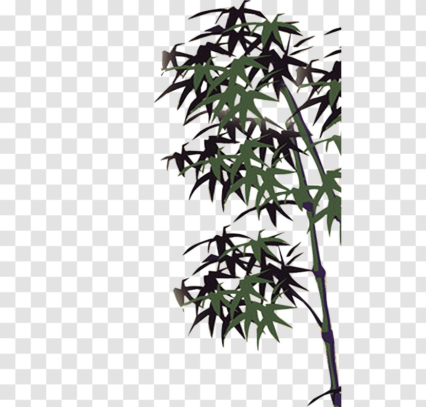Bamboo Ink Bamboe - Leaves Transparent PNG