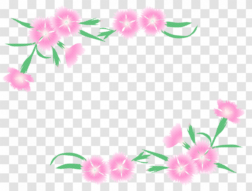 Pink Flower Plant Petal Pedicel Transparent PNG