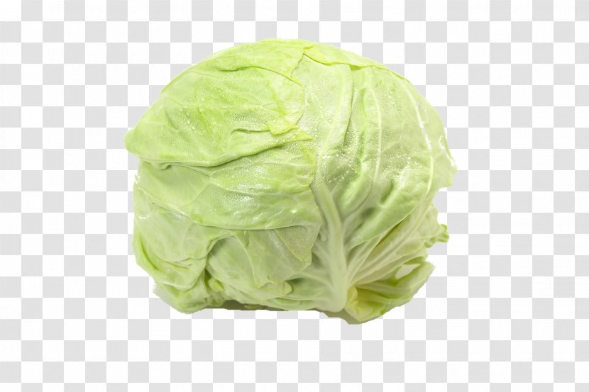 Cabbage Vegetable Food Lettuce Desiccation - Powder - Cauliflower Transparent PNG