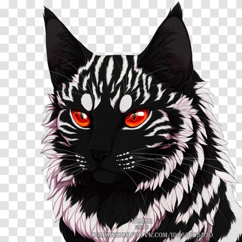 Black Cat Whiskers Warriors Erin Hunter - And White Transparent PNG