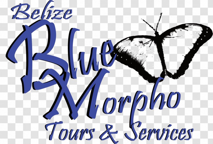 Belize Blue Morpho Tours And Services Ayahuasca Center Zoo Maya Civilization Xunantunich - Moths Butterflies - Insect Transparent PNG