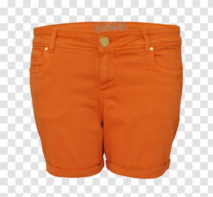 Bermuda Shorts - Pants Transparent PNG