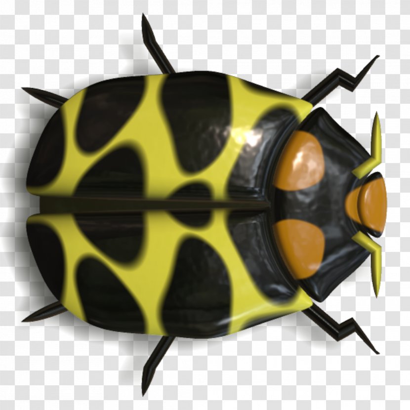 Beetle Drawing Clip Art - Lady Bug Transparent PNG