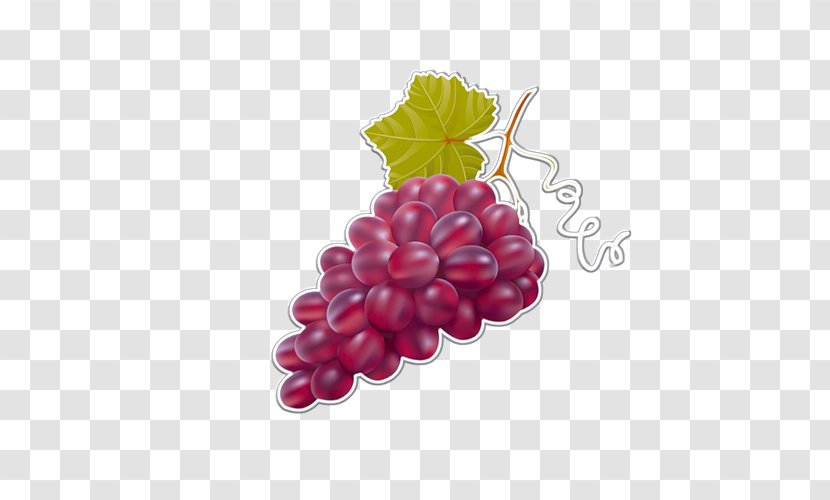 Grape Painting Auglis Drawing - Food Transparent PNG