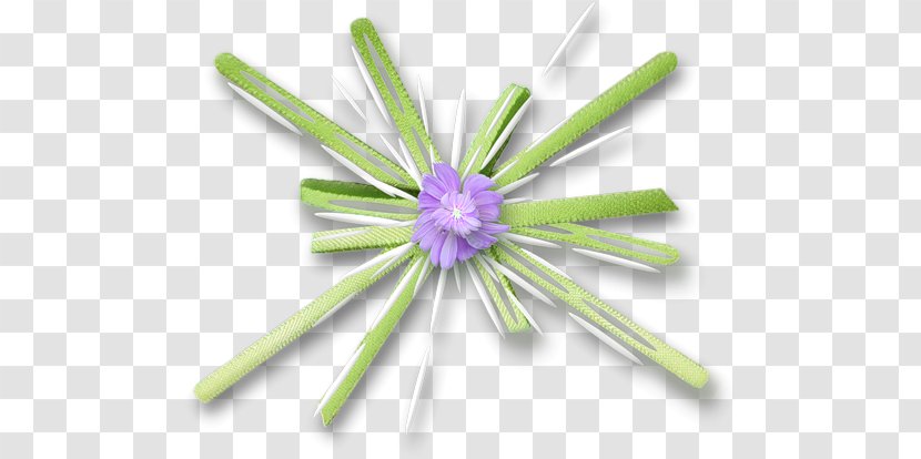 Line - Petal - Flower Transparent PNG