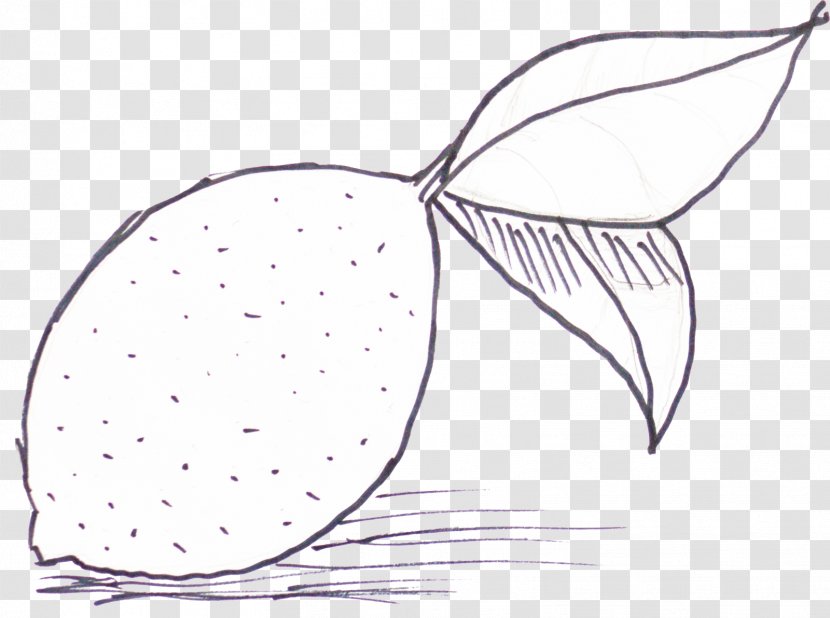 /m/02csf Drawing Line Art Clip - Fish - Lemon Paint Transparent PNG