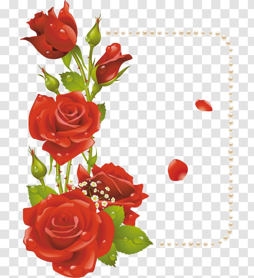 Picture Frames Flower Rose Clip Art - Bouquet Transparent PNG