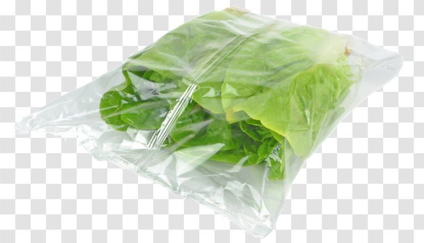 Plastic Bag Packaging And Labeling Salad Biodegradable - Health - Food Bags Transparent PNG