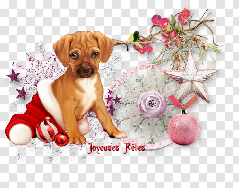 Christmas And New Year Background - Companion Dog - Boxer Transparent PNG