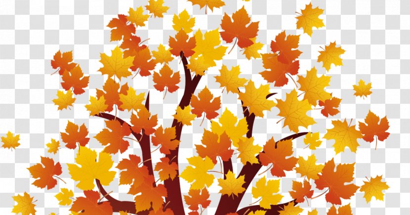 Autumn Download Red Maple Clip Art - Flowering Plant - Harley Sturgis Transparent PNG