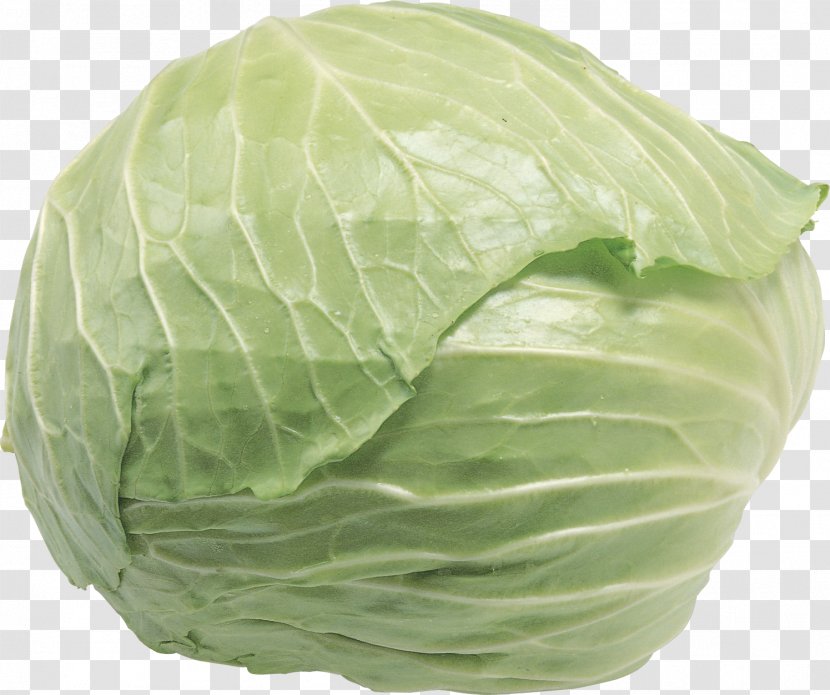 Chinese Cabbage Cauliflower Leaf Vegetable - Brassica Oleracea - 100-natural Transparent PNG