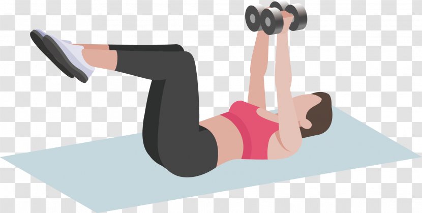 Physical Exercise Dumbbell Squat Front Raise Fly - Frame - Ladies With Dumbbells Lie Down Transparent PNG