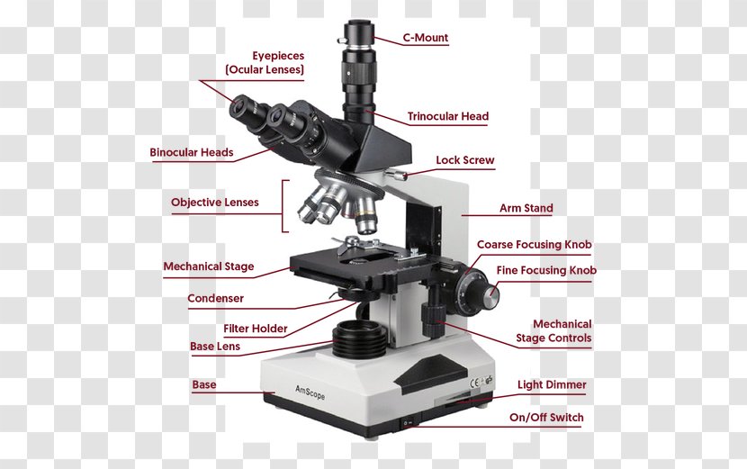 Light Phase Contrast Microscopy Optical Microscope Dark-field - Eyepiece - Clincal Transparent PNG