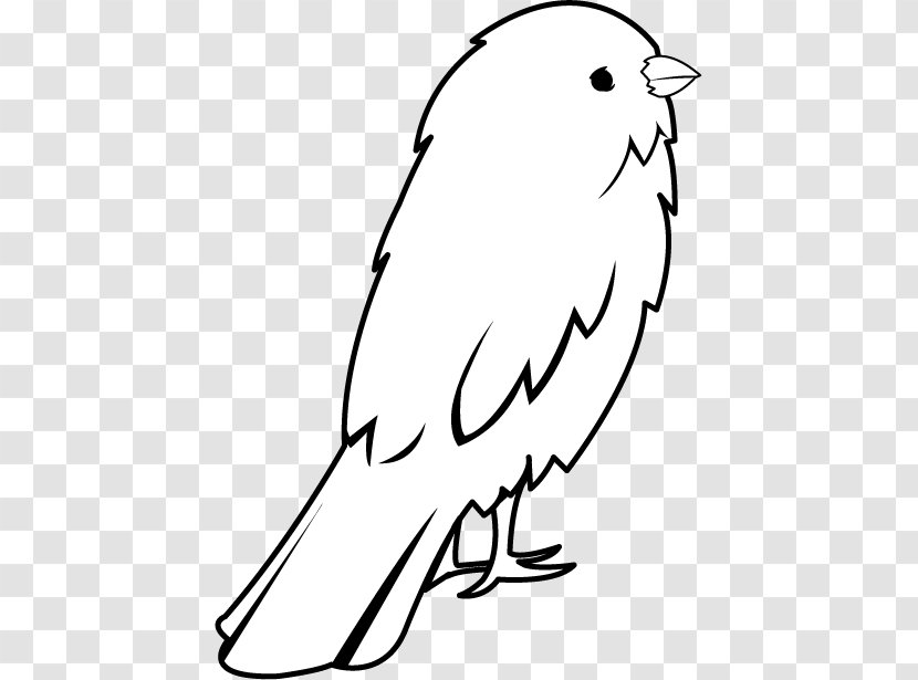 Domestic Canary Clip Art Drawing Openclipart Big Bird - Head - SMALL BIRD Transparent PNG
