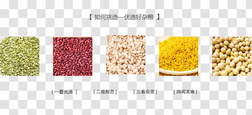 Cereal Superfood Grain - Commodity - Rice Grains Transparent PNG