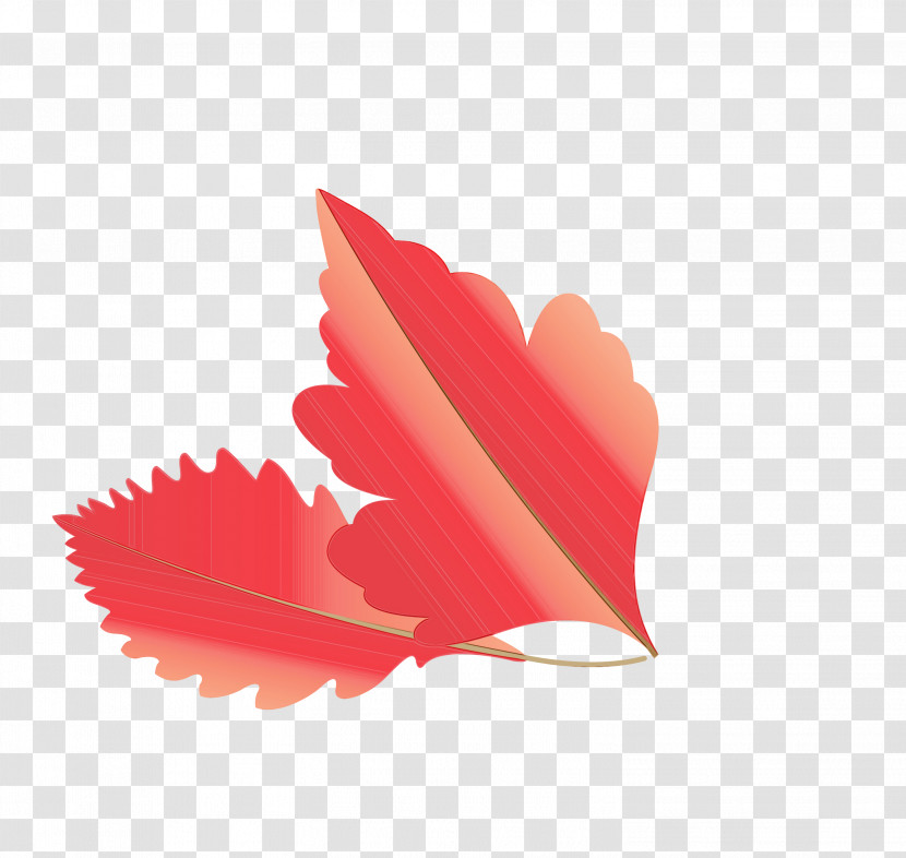 Petal Transparent PNG