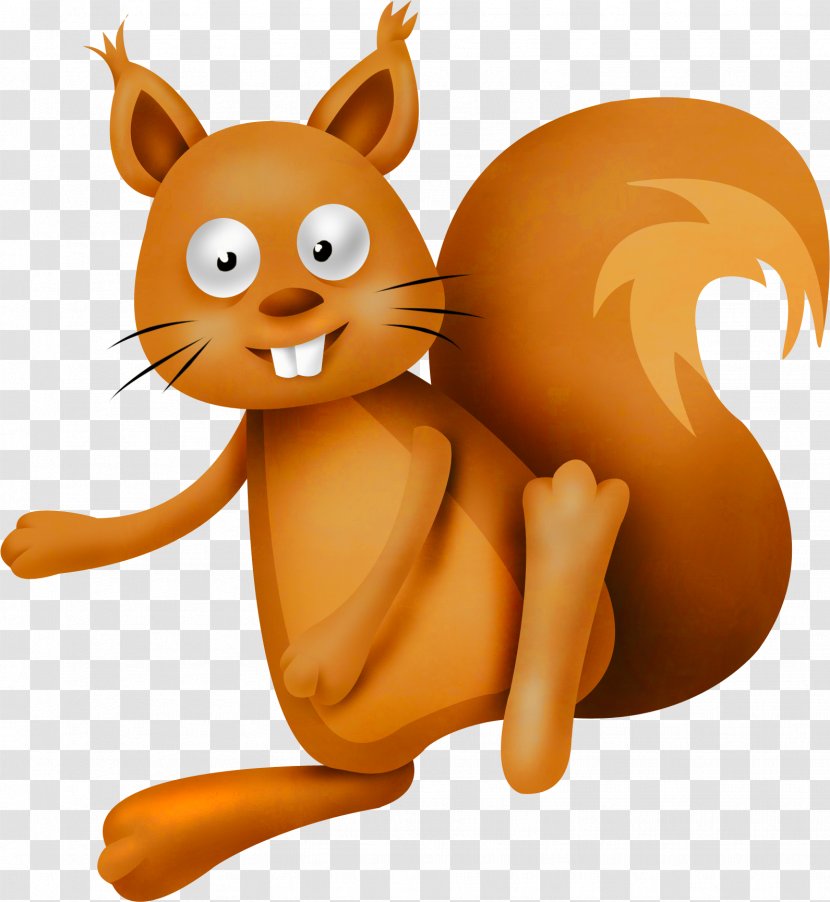 Squirrel Whiskers Cat Drawing - Carnivoran - Cute Transparent PNG