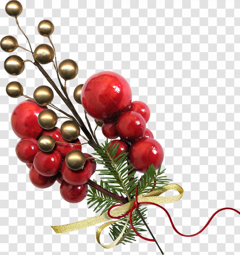 Christmas Cranberry Holiday - Pink Peppercorn Transparent PNG