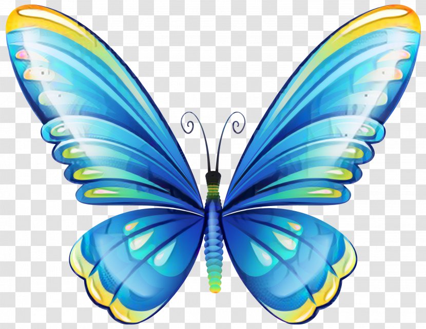 Clip Art Butterfly Image Free Content - Common Blue Transparent PNG