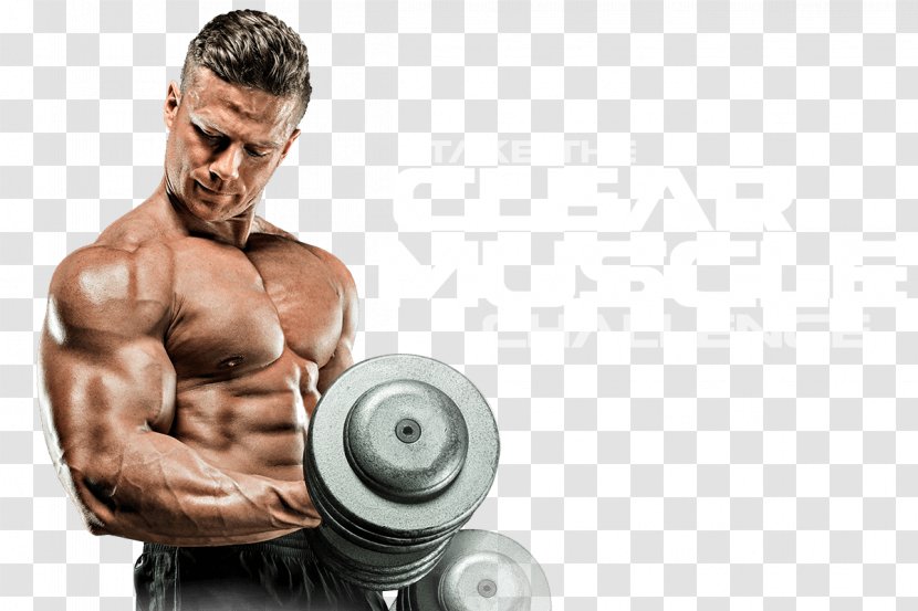 Bodybuilding Desktop Wallpaper Fitness Centre - Cartoon - Muscle Transparent PNG