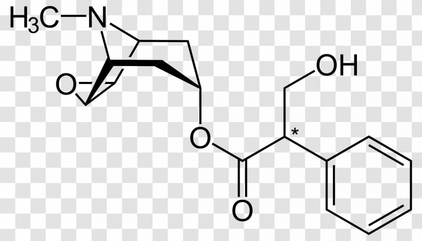 Pharmaceutical Drug Hyoscine - Furniture - Ingestion Transparent PNG