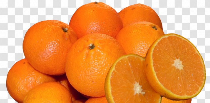 Blood Orange Tangerine Mandarin Tangelo Rangpur - Vegetable - Closeup Transparent PNG