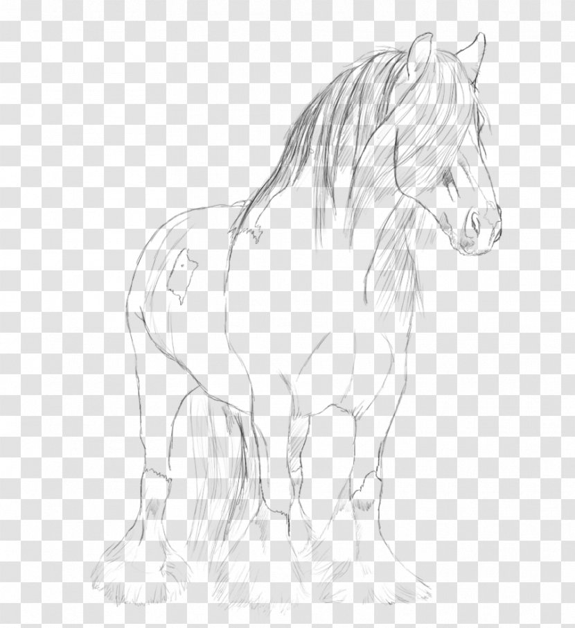Gypsy Horse Mane Pony Cob Sketch - Line Art - Organism Transparent PNG
