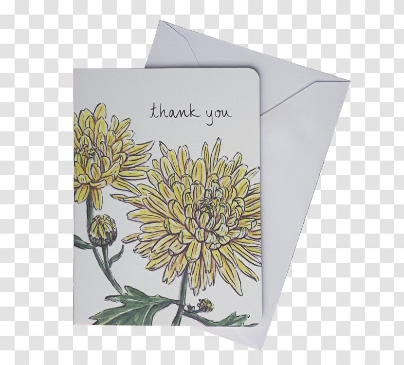 Greeting & Note Cards Paper Gift Post Flower - Flowering Plant - Chrysanthemum White Transparent PNG