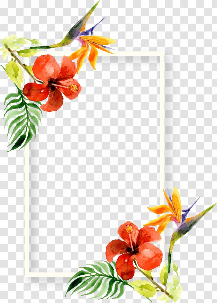 Plant Painting Art - Flower Arranging - Beautifully Decorated Floral Watercolor Frame Transparent PNG